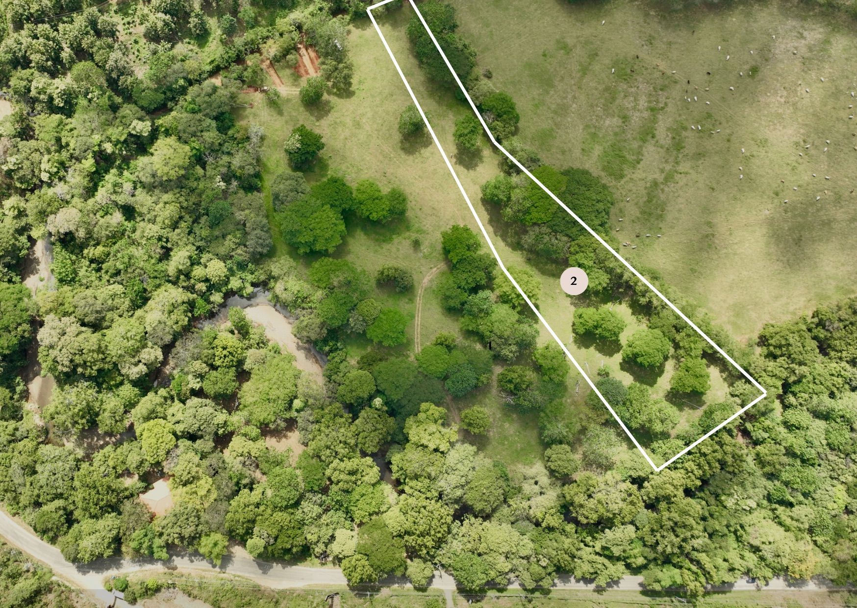 Large Lot with Development Potential in Artola, Guanacaste